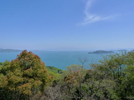 f0165831_111895.jpg