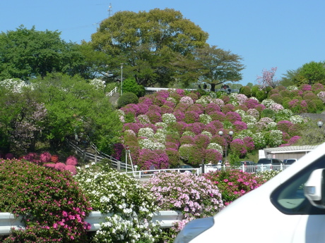 f0165831_1133536.jpg