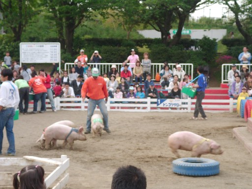 f0002833_1575263.jpg