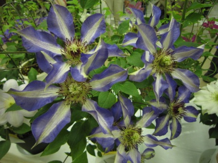 c0025140_22554182.jpg