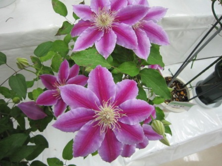 c0025140_22564544.jpg