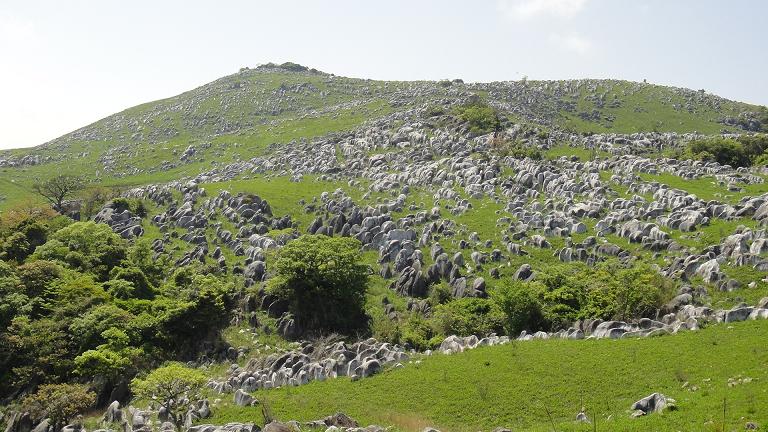 e0164643_22483895.jpg