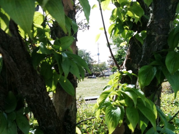 c0067646_1439151.jpg