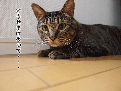 f0116546_1201085.gif