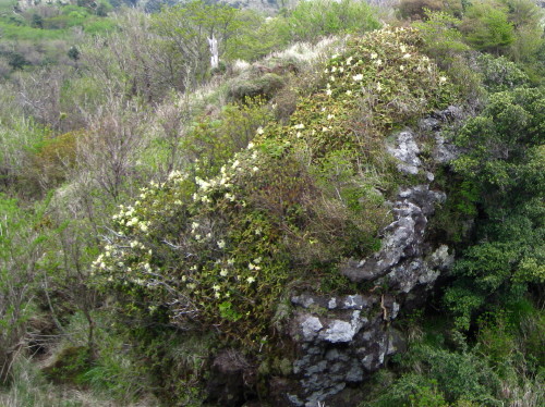 c0179351_17531539.jpg
