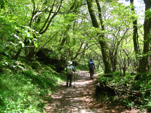 c0179351_175351100.jpg