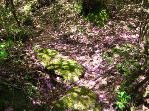 c0179351_17561235.jpg