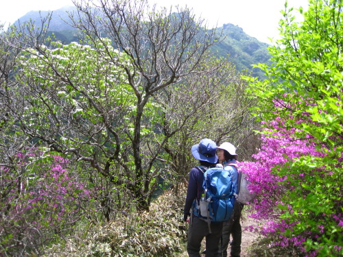 c0179351_218929.jpg