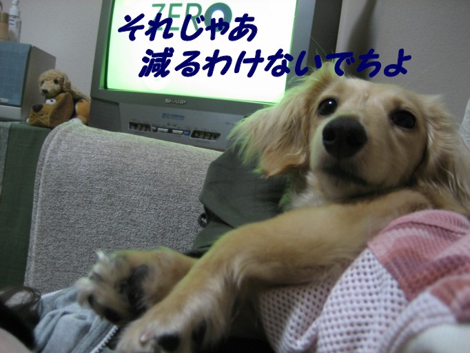 b0160052_11114143.jpg