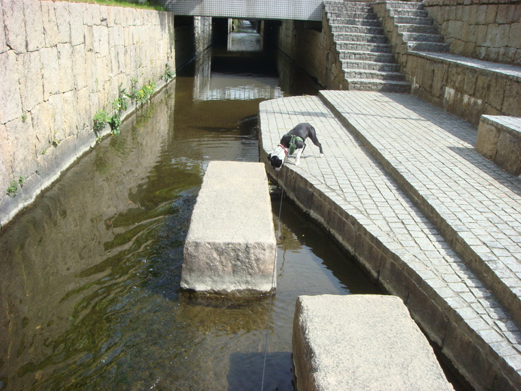 b0183452_2141068.jpg
