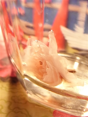 c0003752_0512284.jpg