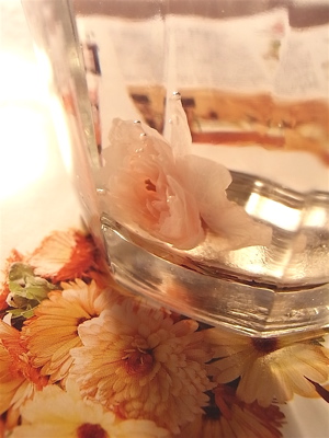 c0003752_0513115.jpg