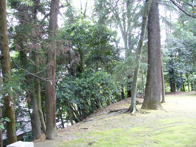 b0160255_18343227.jpg