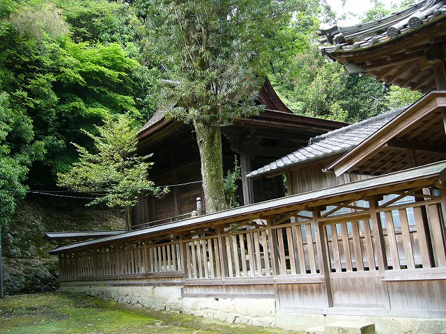 b0160255_18344698.jpg