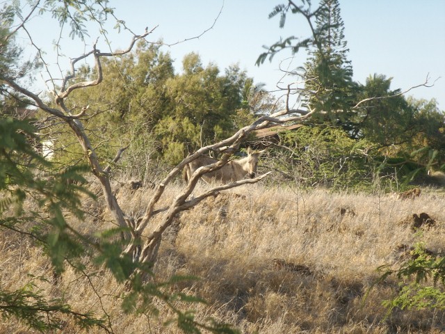 e0033156_3184965.jpg