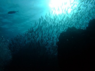 f0176156_1431527.jpg