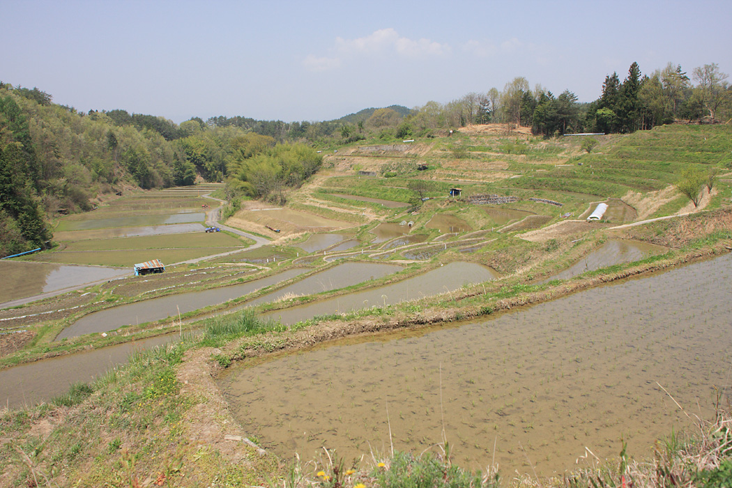 d0148060_1928461.jpg