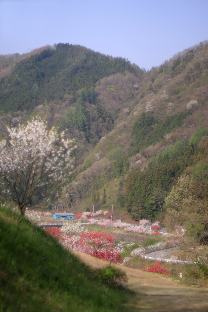 d0148060_20424942.jpg