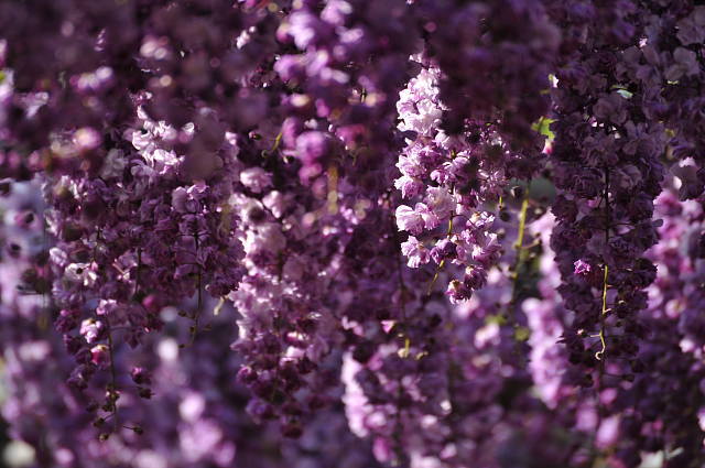 f0222161_2152378.jpg