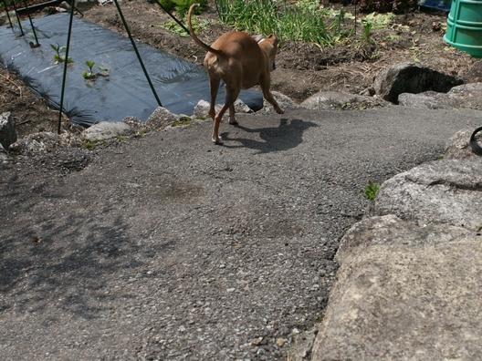 f0158862_20404283.jpg
