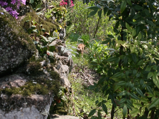 f0158862_2041489.jpg