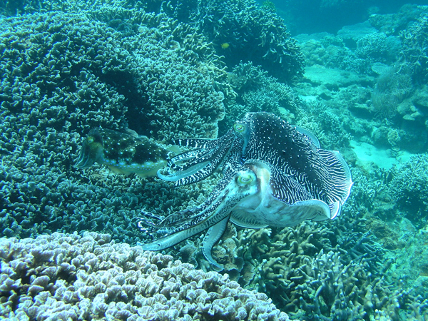 b0062363_21115796.jpg