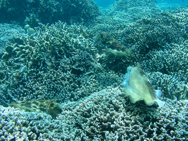 b0062363_213636.jpg