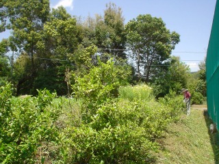 f0055264_2055574.jpg