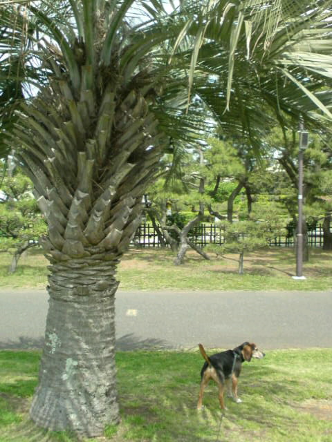 f0220768_16511410.jpg