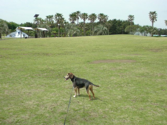 f0220768_16511470.jpg