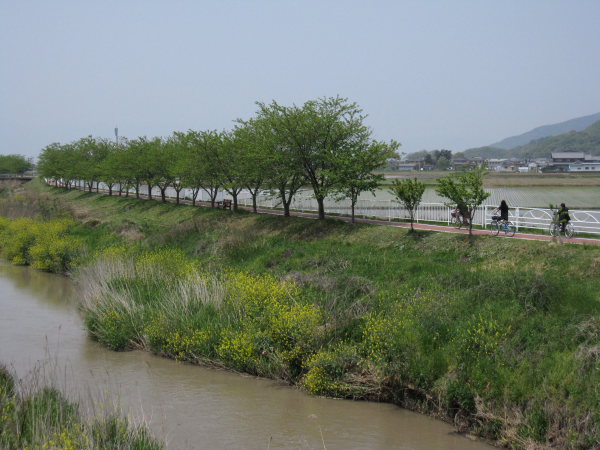 b0055171_14514378.jpg