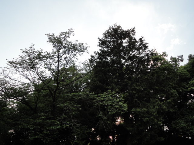 d0109373_18151876.jpg