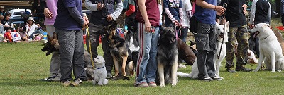 a0166575_2315999.jpg