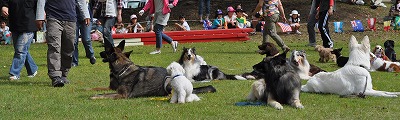 a0166575_23223370.jpg