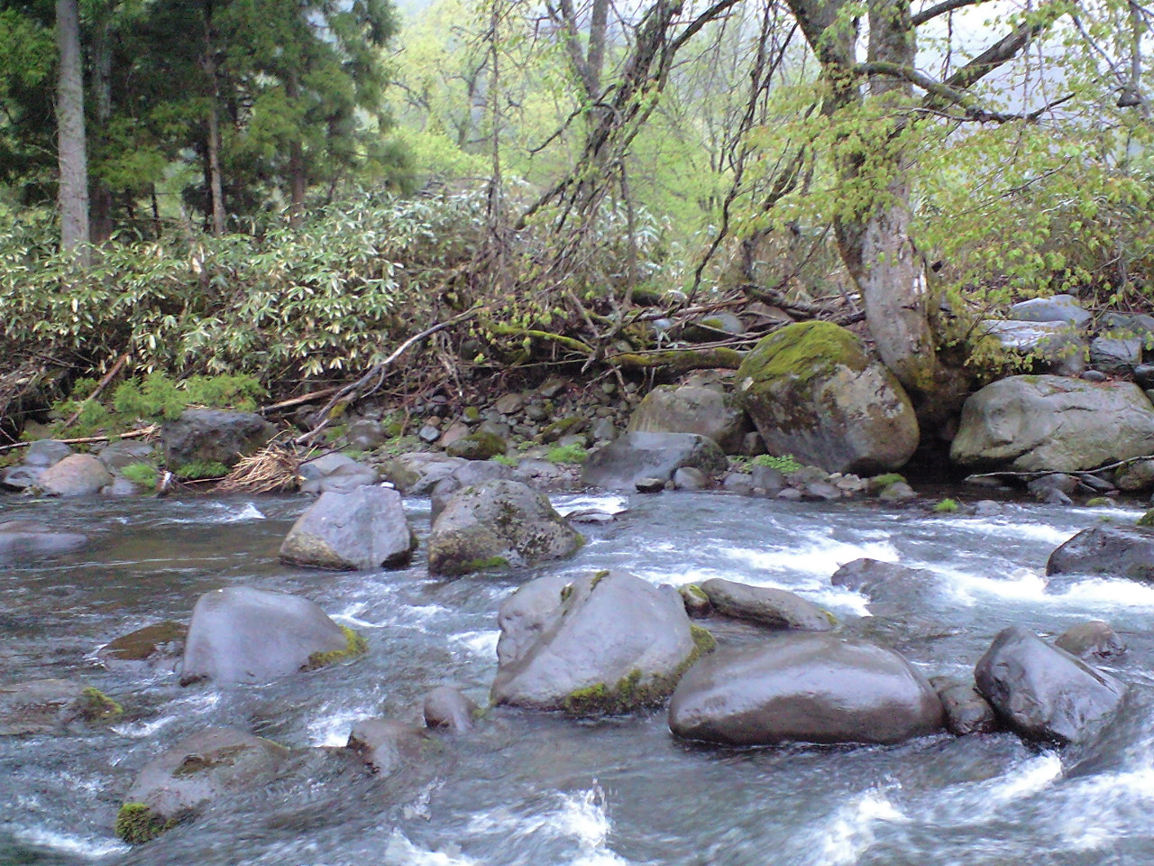a0093677_213332.jpg