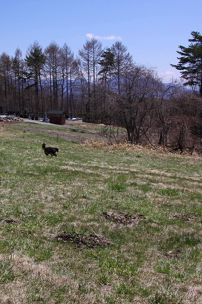 c0149178_22283115.jpg