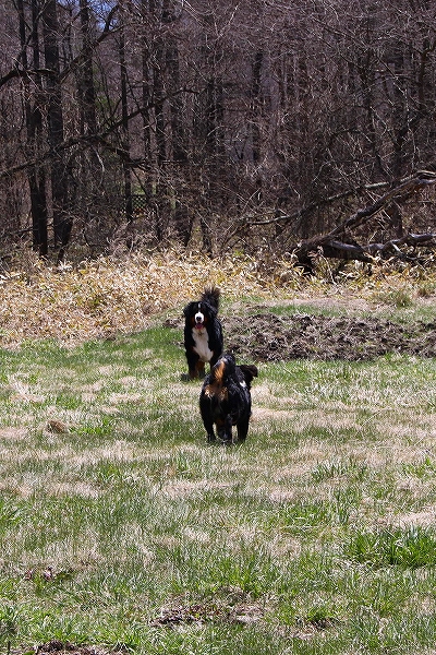 c0149178_22323081.jpg