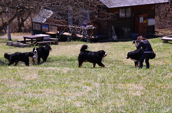 c0149178_22581165.jpg