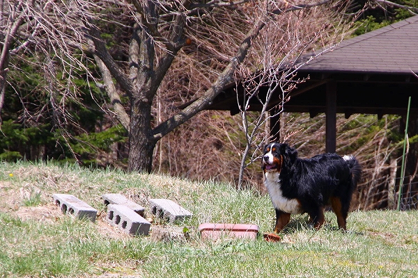 c0149178_2315790.jpg