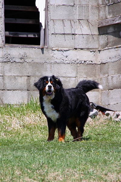 c0149178_232149.jpg