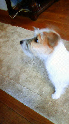 c0107180_205819.jpg