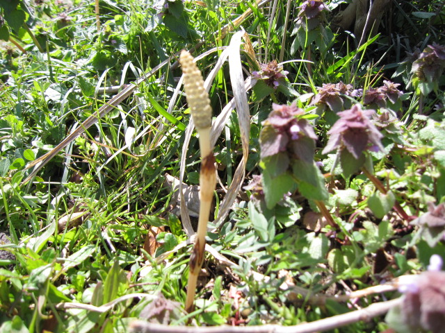 c0180780_17272840.jpg