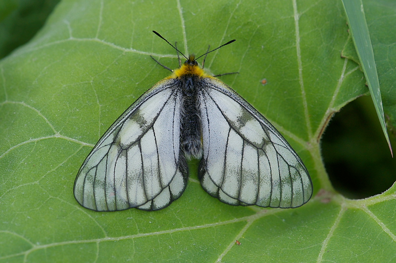 f0090680_22375166.jpg
