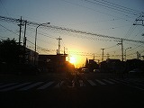 a0142083_20531692.jpg
