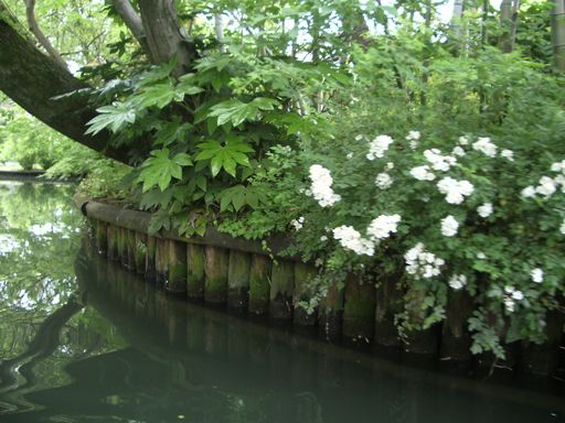 c0144683_1418846.jpg