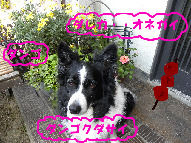 c0120585_10156100.jpg
