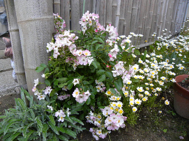 c0120585_9311530.jpg