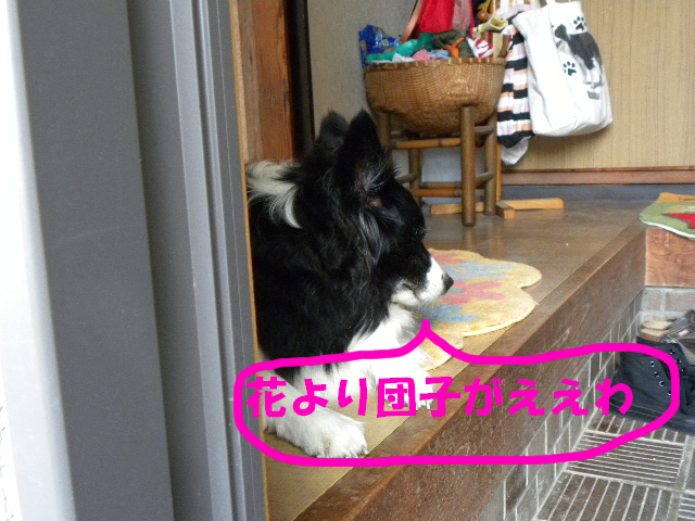 c0120585_9483188.jpg