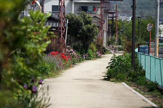 e0190885_20414988.jpg