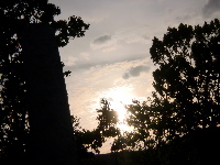 e0150087_92221.jpg